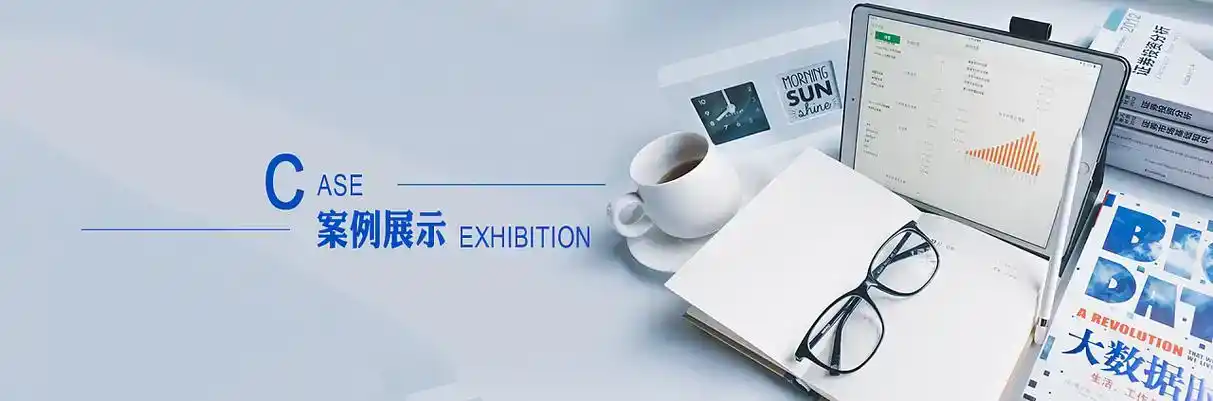 内丘县软件开发